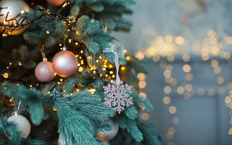 Kurzaufenthalt zu Weihnachten