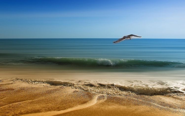 Und wir haben immer noch Sommer